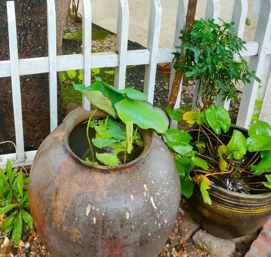 Lotus Corner - Heritage B&B Luang Prabang Esterno foto